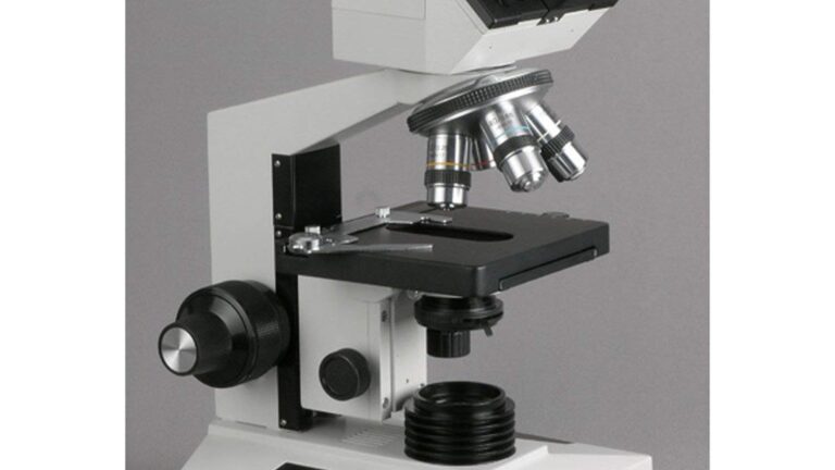 XSP-01 Biological Microscope (Shipped From Abroad)